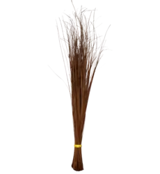 Sweeping Broom Walis Tingting